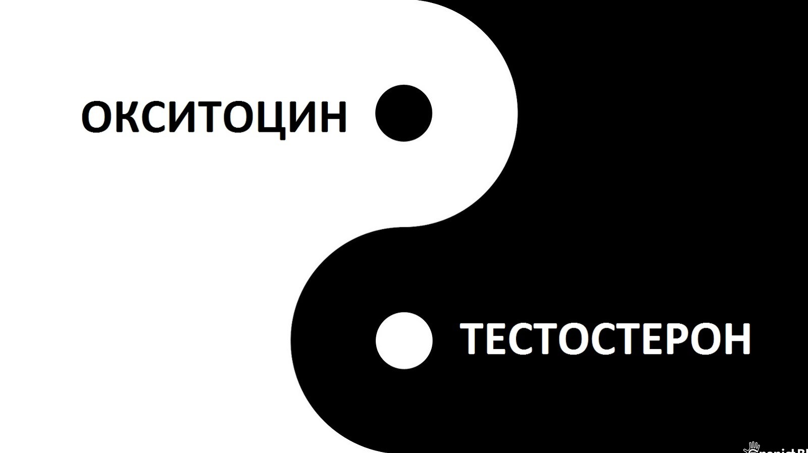 Измена жены